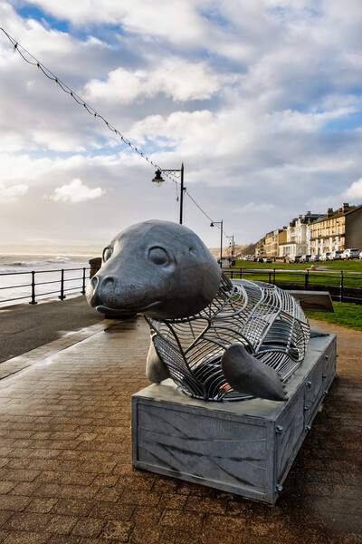 The Filey Seal Picture Board by Steve Smith