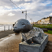 Buy canvas prints of The Filey Seal by Steve Smith