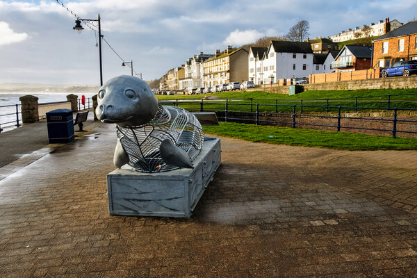 The Playful Filey Seal Picture Board by Steve Smith