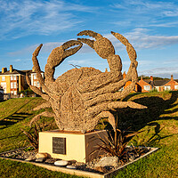 Buy canvas prints of Withernsea Crab by Steve Smith