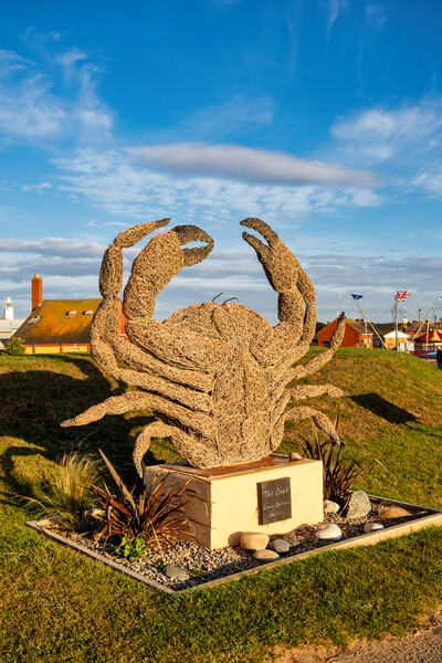 Withernsea Crab Picture Board by Steve Smith