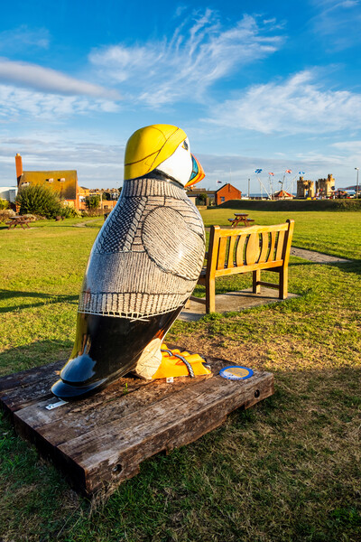 Withernsea Penguin Picture Board by Steve Smith