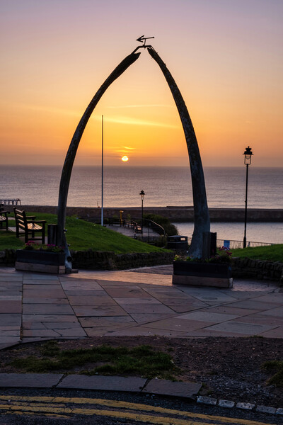Whitby Whalebones Picture Board by Steve Smith