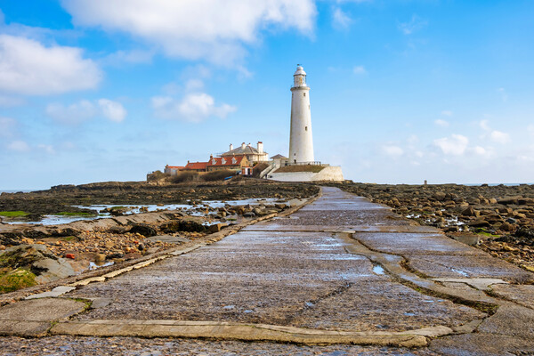 St Marys Lighthouse Picture Board by Steve Smith