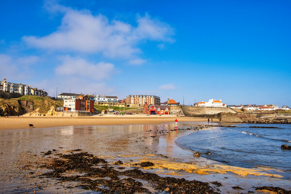 Cullercoats Beach Picture Board by Steve Smith