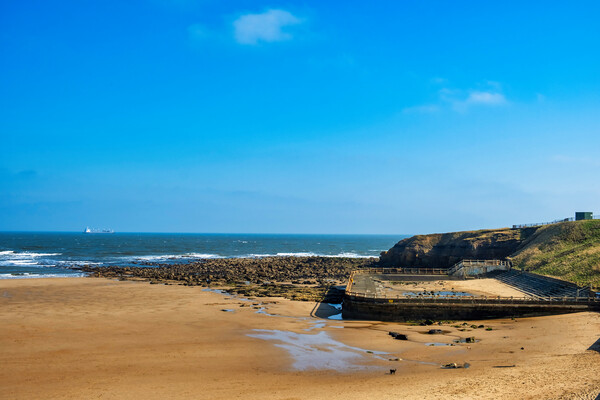 Serene Shores of Tynemouth Picture Board by Steve Smith