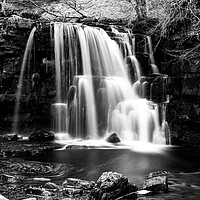 Buy canvas prints of East Gill Force Mono by Steve Smith