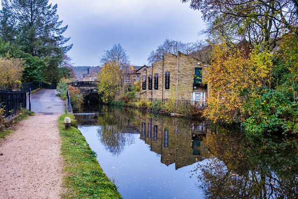 Serenity by the Rochdale Canal Picture Board by Steve Smith
