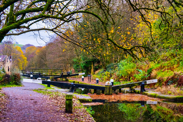 Serene Charm of Rochdale Canal Picture Board by Steve Smith