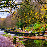 Buy canvas prints of Serene Charm of Rochdale Canal by Steve Smith