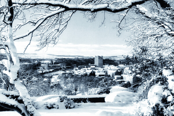 Winter Wonderland in Richmond Picture Board by Steve Smith