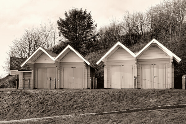 North Bay Scarborough Beach Huts Picture Board by Steve Smith