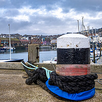 Buy canvas prints of Scarborough Marina by Steve Smith