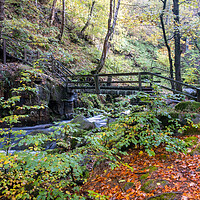 Buy canvas prints of Enchanting Padley Gorge in Derbyshire by Steve Smith
