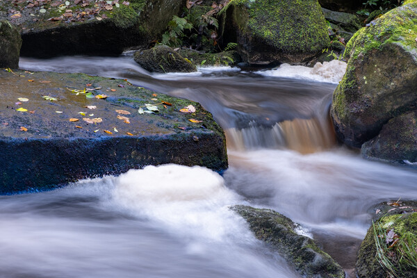 Padley Gorge Derbyshire Picture Board by Steve Smith