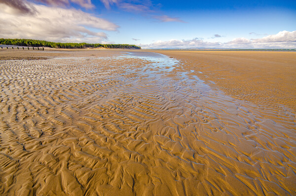 A Serene Haven on Findhorn Beach Picture Board by Steve Smith