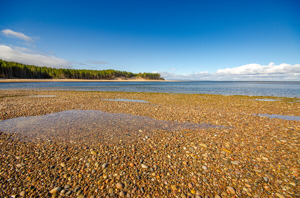 Serene Beauty of Findhorn Beach Picture Board by Steve Smith