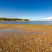 Buy canvas prints of Serene Beauty of Findhorn Beach by Steve Smith