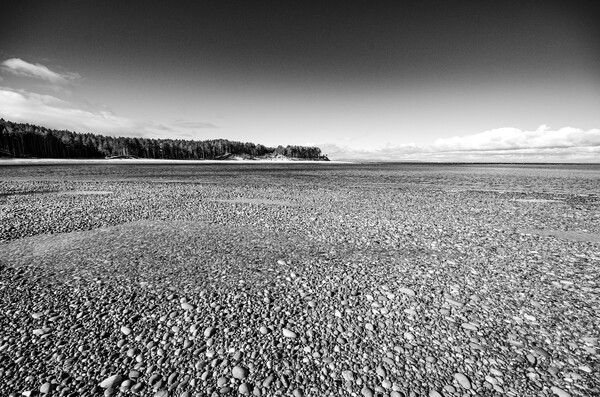 Serene Findhorn Beach Picture Board by Steve Smith