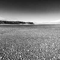 Buy canvas prints of Serene Findhorn Beach by Steve Smith