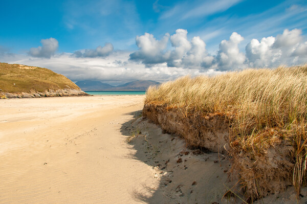 Horgabost Beach Isle Of Harris Picture Board by Steve Smith