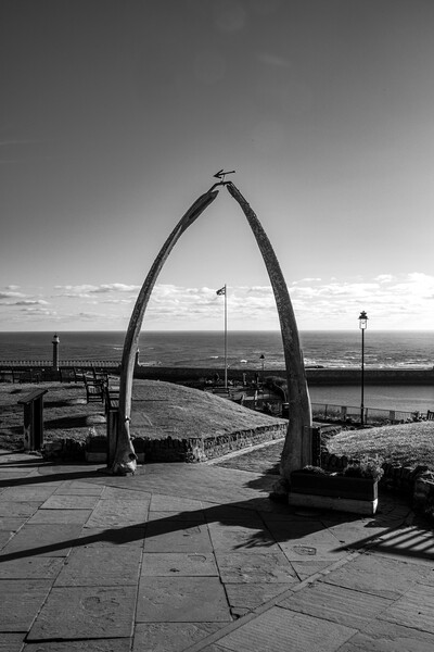 The Whitby Whalebones Picture Board by Steve Smith