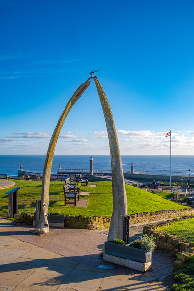 Majestic Whitby Whalebones Picture Board by Steve Smith