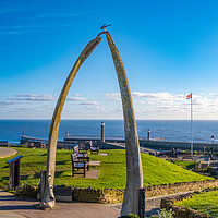Buy canvas prints of Majestic Whitby Whalebones by Steve Smith