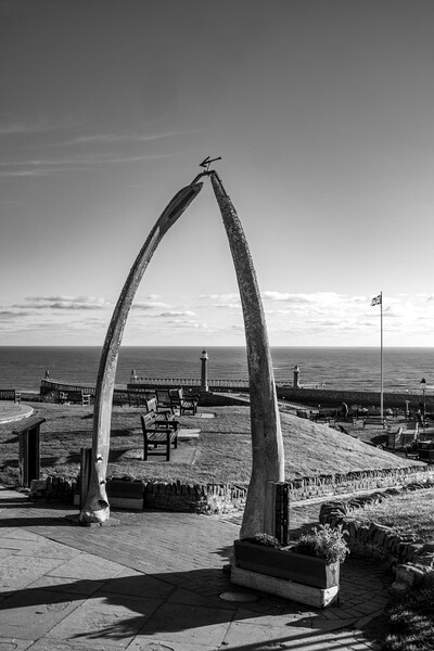 The Whitby Whalebones Picture Board by Steve Smith