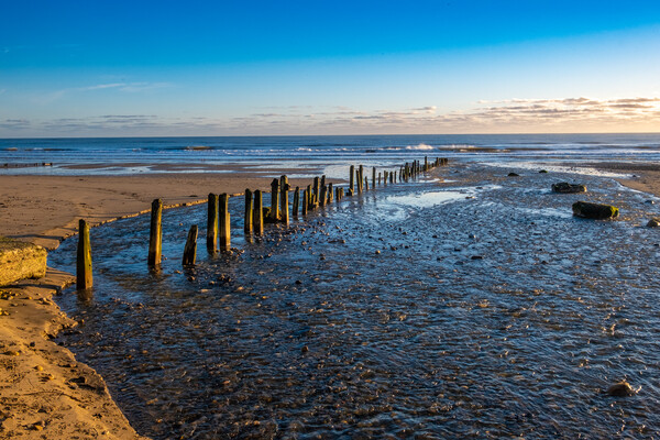 Sandsend Beach Picture Board by Steve Smith