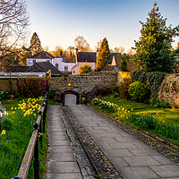 Buy canvas prints of Ripon Cathedral Spring Flowers by Steve Smith