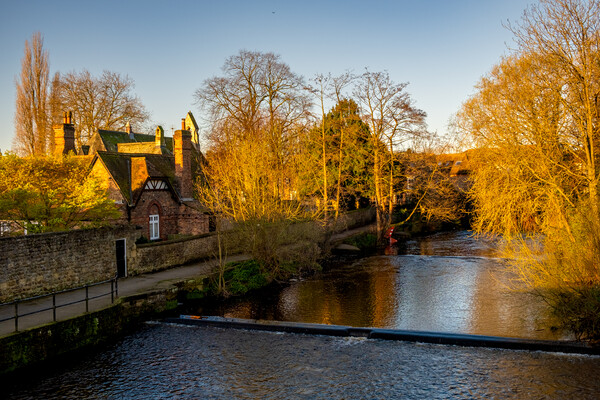 The River Ure Ripon Picture Board by Steve Smith