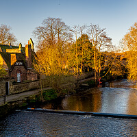 Buy canvas prints of The River Ure Ripon by Steve Smith