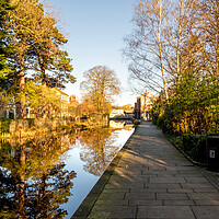 Buy canvas prints of Ripon Canal by Steve Smith