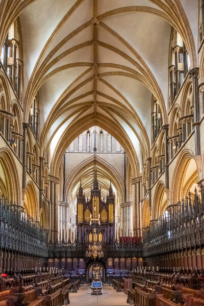 Breathtaking Gothic Splendor Picture Board by Steve Smith