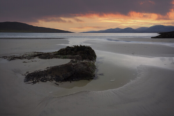 Serenity at Luskentyre Beach Picture Board by Steve Smith