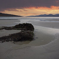 Buy canvas prints of Serenity at Luskentyre Beach by Steve Smith