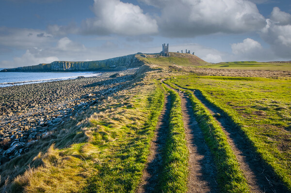 Majestic ruins of Dunstanburgh Picture Board by Steve Smith