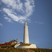 Buy canvas prints of St Marys Lighthouse by Steve Smith