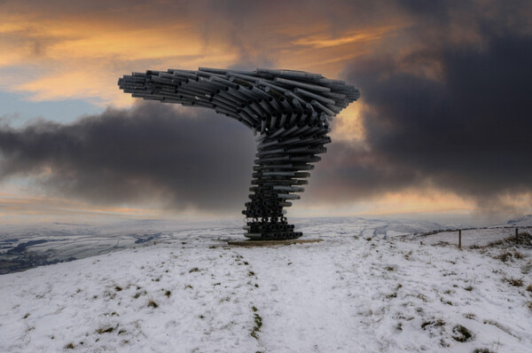 Singing Ringing Tree Serenades Nature. Picture Board by Steve Smith
