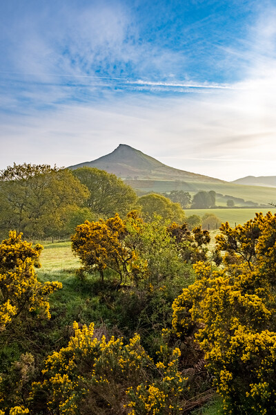 Roseberry Topping: Picturesque Hilltop Adventure. Picture Board by Steve Smith