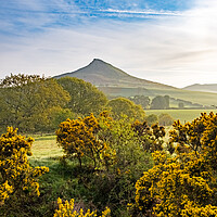 Buy canvas prints of Roseberry Topping: Picturesque Hilltop Adventure. by Steve Smith