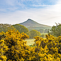 Buy canvas prints of Roseberry Topping: Picturesque Hilltop Adventure. by Steve Smith