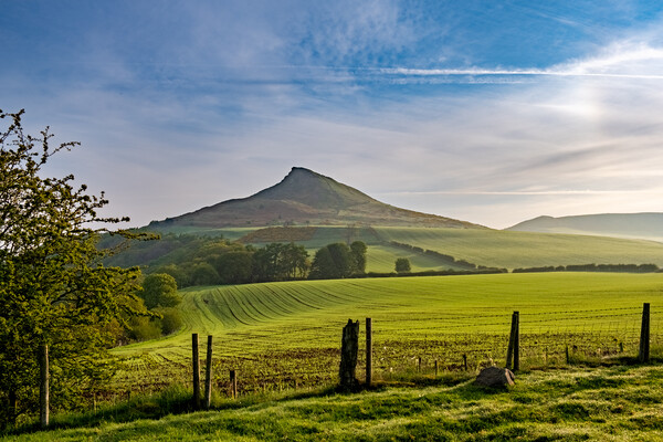 Roseberry Topping: Iconic Views Await Picture Board by Steve Smith