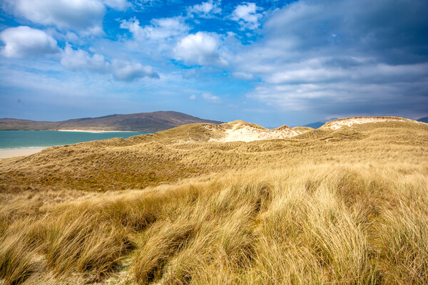 Luskentyre: A Turquoise Paradise Beach. Picture Board by Steve Smith