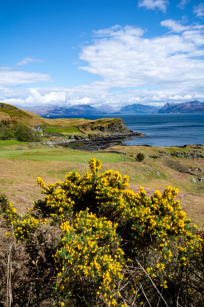 Sleat Isle of Skye: Mesmerizing Beauty Picture Board by Steve Smith