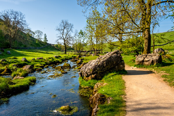 Malham Beck: Picturesque Stream in Yorkshire. Picture Board by Steve Smith