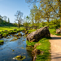 Buy canvas prints of Malham Beck: Picturesque Stream in Yorkshire. by Steve Smith