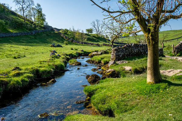 Malham Beck: Picturesque Stream in Yorkshire Picture Board by Steve Smith