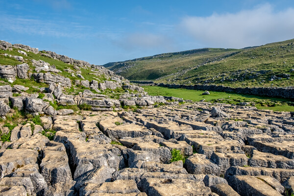 Limestone Pavement Malham: A Geological Wonder Picture Board by Steve Smith